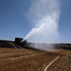 Feldflur Barbis 30.06.2018